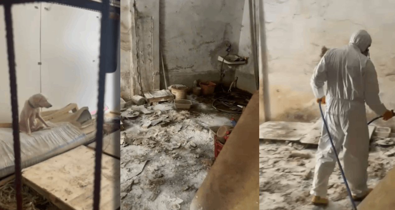Bursa’da pire istilasına neden olan dehşet evi görüntülendi
