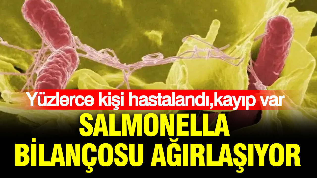İngiltere’yi salmonella vurdu: Yüzlerce kişi hastalandı kayıp var